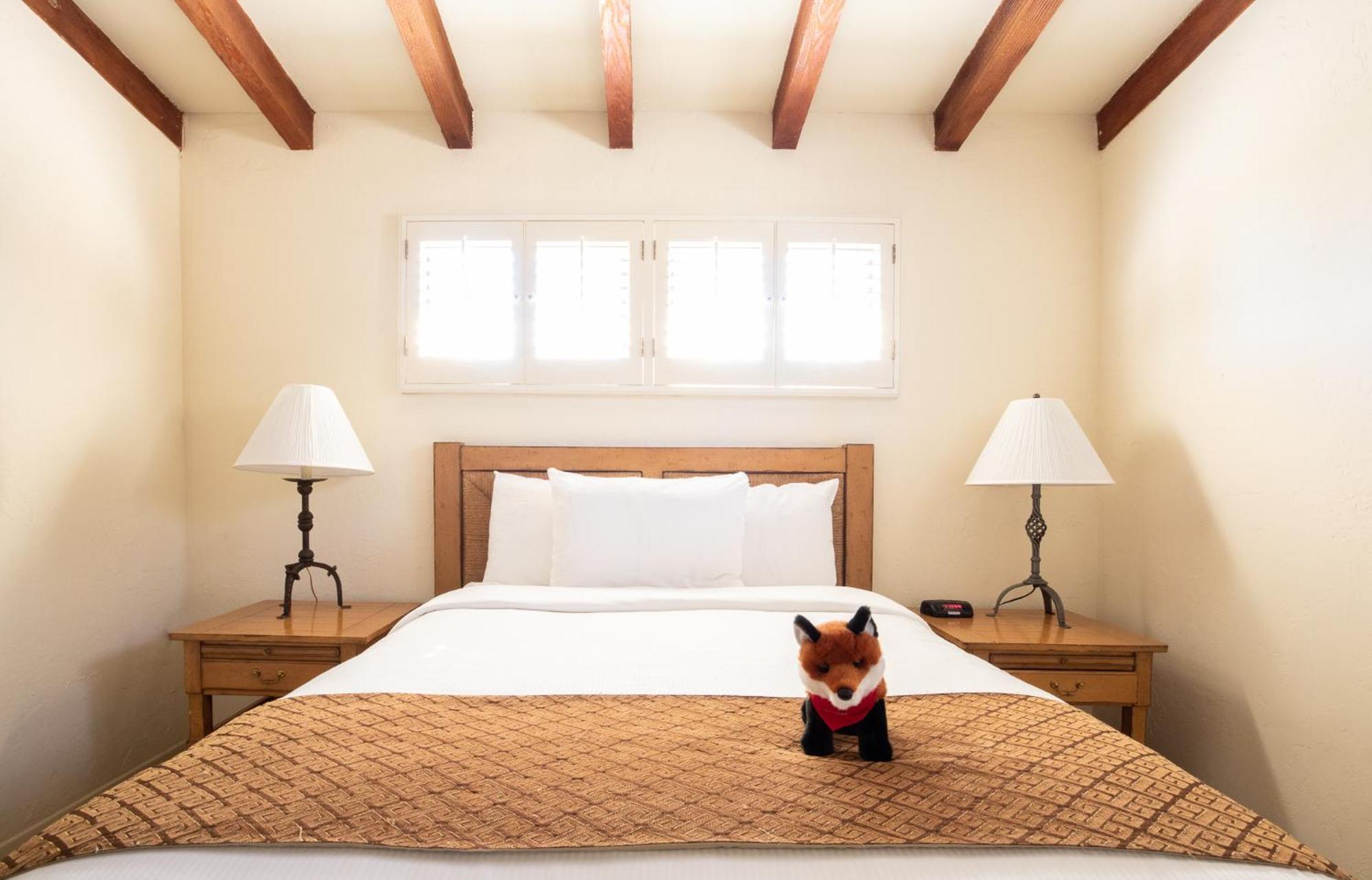 La Casa Del Zorro Resort & Spa Borrego Springs Eksteriør billede